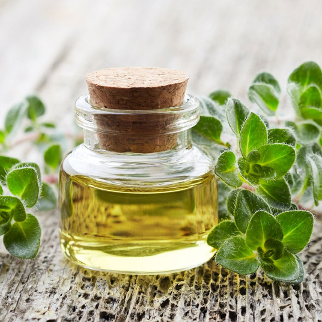 Here Are Some Technical Details About Oregano Oil